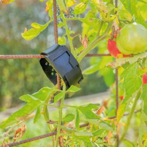 O-Spring Fix Strap PRO 10 stuks – Herbruikbare Bevestigingsriemen voor Professioneel Gebruik 1